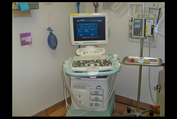 aa animal clinic tour