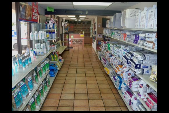 aa animal clinic tour