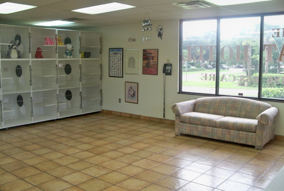 aa animal clinic tour