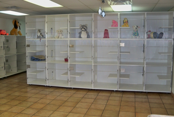 aa animal clinic tour