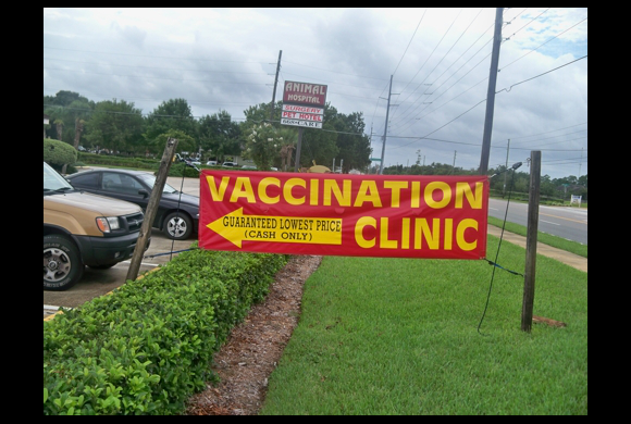 aa animal clinic tour