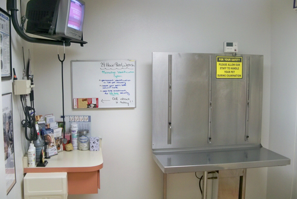 aa animal clinic tour