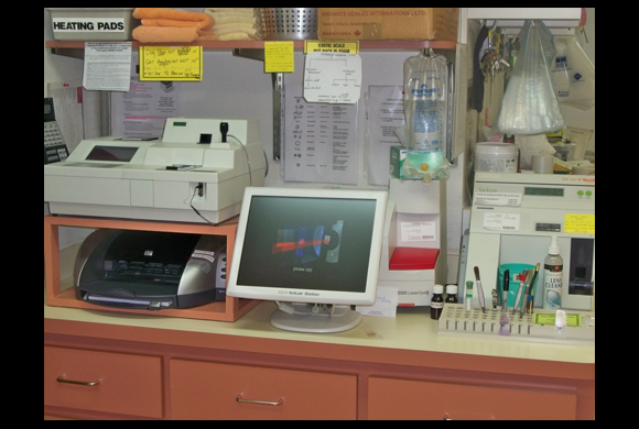 aa animal clinic tour